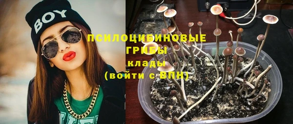 скорость Алзамай