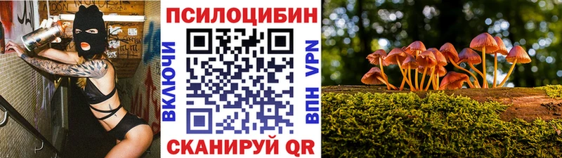 Псилоцибиновые грибы мухоморы  кракен рабочий сайт  Конаково 